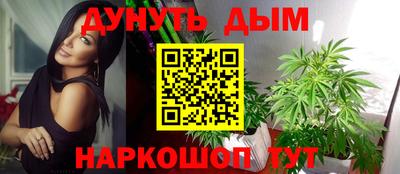 трава Будённовск