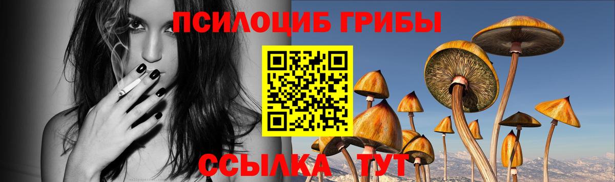 Боровичи  Галлюциногенные грибы прущие грибы  Галлюциногенные грибы MAGIC MUSHROOMS  Вход с VPN 
